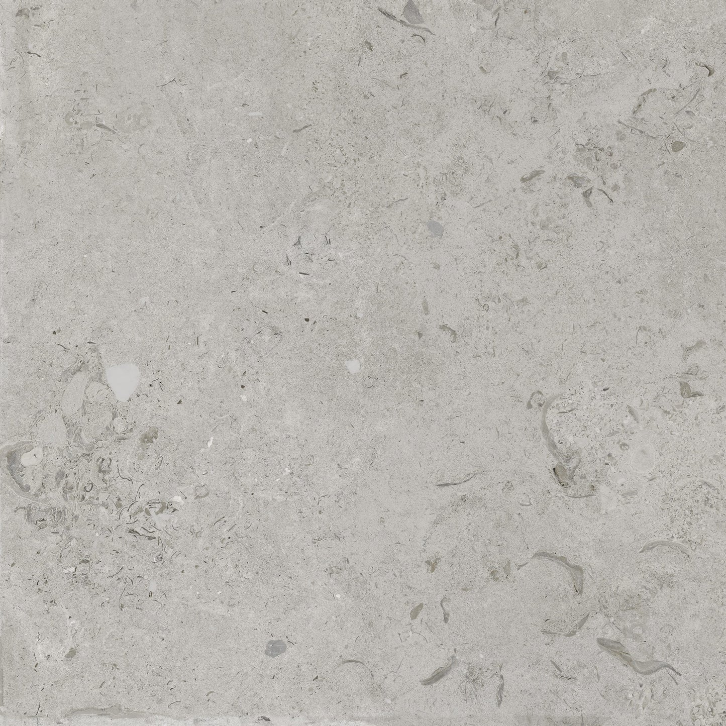 Klinker Kalksten Coralina Perla Matt 60×60